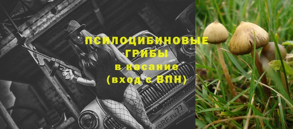 ALPHA-PVP Новодвинск